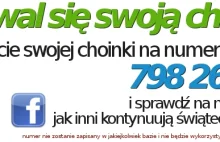 Pochwal się swoją choinką! | Ciekawostki | Blog