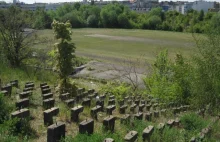 Wieża Eiffla, stadion olimpijski... - czym Poznań może pochwalić się na świecie