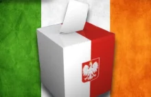 Tak głosowali Polacy w Irlandii - Kukiz daleko przed Komorowskim i Dudą