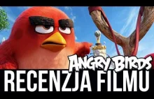 Umęczone ptaki - RECENZJA filmu Angry Birds