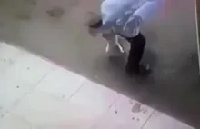 Kot atakuje mężczyznę.