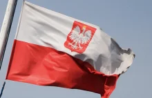 Poseł PiS: przygotujemy nowe prawo dot. Polonii i Polaków za granicą