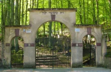 Mistycyzm i ślad dawnych tradycji. Co wyróżnia cmentarz żydowski w Sopocie?