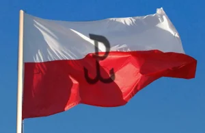 Wielka (100mkw) flaga na rondzie w Warszawie