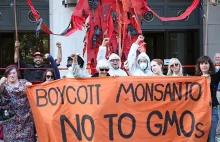 Monsanto przed trybunałem w Hadze