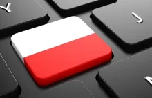 Powstaje polska wyszukiwarka internetowa. PAN prześcignie Google?