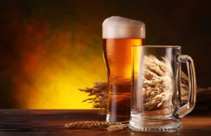 Piwo działa jak lek na ból głowy, chroni przed zawałem, ułatwia zasypianie