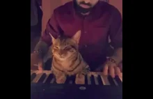 World's first piano piece co-composed by hooman and kitty.