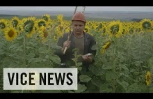 Materiał VICE news o katastrofie MH17.