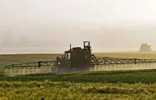 Glifosat - szkodliwy pestycyd, będzie zakazany w Niemczech