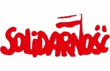 Nowicka Usuwa z Sejmu Symbol Solidarności