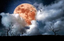 Red Moon - magiczne zaćmienie Księżyca - Blog
