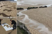 Dzień Pokoju - 9000 obrysów ciał na plaży w Normandii