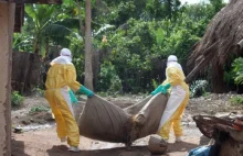 WHO: koniec epidemii eboli w Nigerii