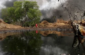 Nigeria - cena ropy