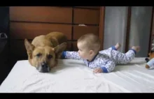 Dziecko i pies - prawdziwy przyjaciel