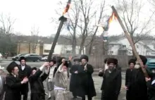 Grupa ortodoksyjnych żydów pali flagę Izraela