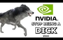 Film przedstawiający jakim dużym penisem jest NVIDIA