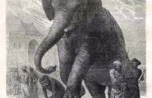 Łamanie słoniem