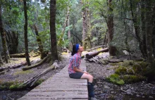 The Apple (Isle) of My Eye: Musings from a trek in Tasmania