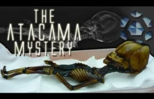 Naukowcy z Uniwersytetu Stanforda zbadali szczątki humanoida z pustyni Atakama