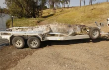 Zastrzelił legendę Australii. 100-letni krokodyl miał pożerać krowy