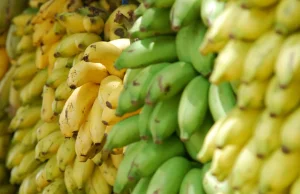 15 gatunków banana i inne nieznane owoce