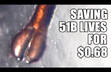 Jak można by uratować 51 miliardów żyć kosztem 68 centów [ENG / Napisy PL]