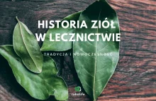 Historia ziół w lecznictwie, czyli prosty przepis jak tradycyjna medycyna...
