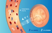 DNA dziecka jest obecne we krwi w przyszłej mamy