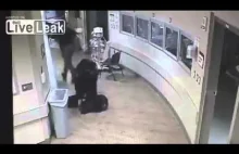 Colorado Springs Officer Brutalizing Handcuffed Woman in Hospital and...