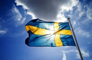 Zaskakująca deklaracja szwedzkich władz. „Potrzebujemy jeszcze więcej imigrantów