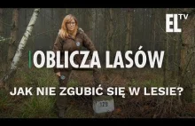 Jak nie zgubić się w lesie? | Oblicza lasów #24