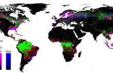Najdokładniejsza mapa zmian stanu lasów na świecie w latach 2000-2012.