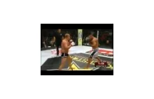 Fedor Emelianenko vs Dan Henderson