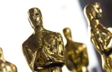 Oscary 2015: Oni walczą o nagrody! Faworyci sezonu