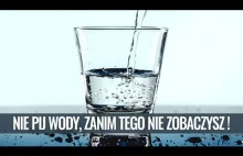 OBALAMY MITY - Nie pij wody, zanim tego nie zobaczysz!...