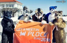 Wolves in Sopot