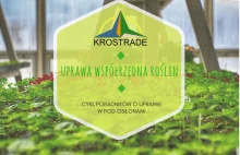 Uprawa współrzędna roślin - warzyw i owoców