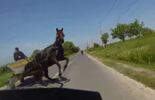 Oszalały koń zaatakował motocyklistę