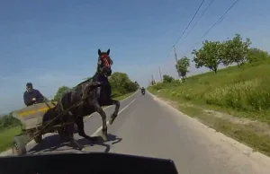 Oszalały koń zaatakował motocyklistę