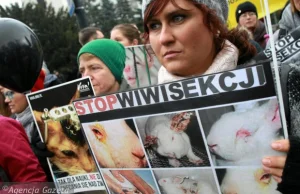 Sejmowe komisje odrzucają poprawki obrońców zwierząt