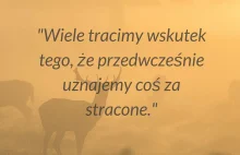 Jak nie ratować swoich znajomych z piramid finansowych? 5 praktycznych...