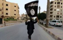 Syria: 1/3 rebeliantów ma takie same cele jak ISIS