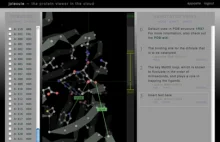 Internetowa przeglądarka molekuł protein
