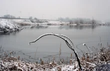 Pierwsze śniegi -Staw Brandka Bytom - - mój fotoblog