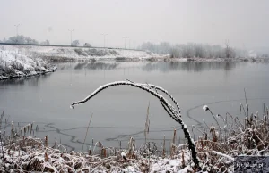 Pierwsze śniegi -Staw Brandka Bytom - - mój fotoblog