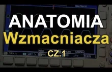 Anatomia wzmacniacza [RS Elektronika]