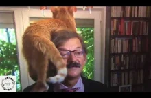 Kot kradnie show podczas wywiadu z prof. Targalskim