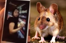 Nastolatki zrelacjonowały na Snapchacie jak "zagazowują" mysz: "No to się,...
